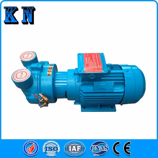Water Ring Vacuum Pump Same to Nash Vacuum Pump