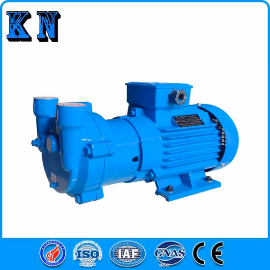 Water Ring Vacuum Pump Same to Nash Vacuum Pump